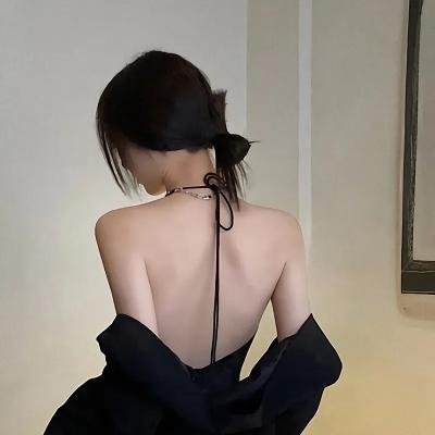 美国派:高潮再起